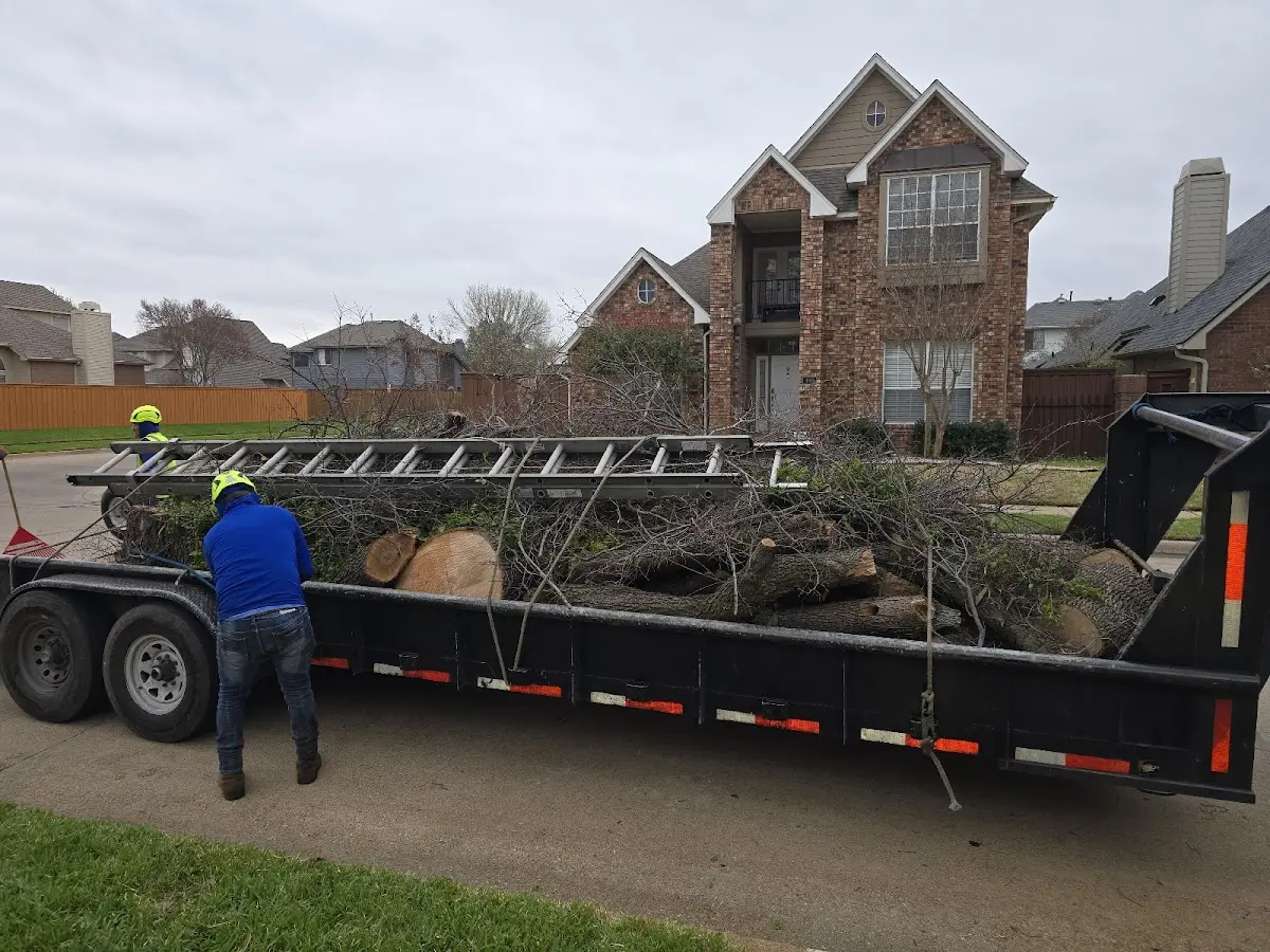 Expert Lot Clearing with proper safety equipment in Portal